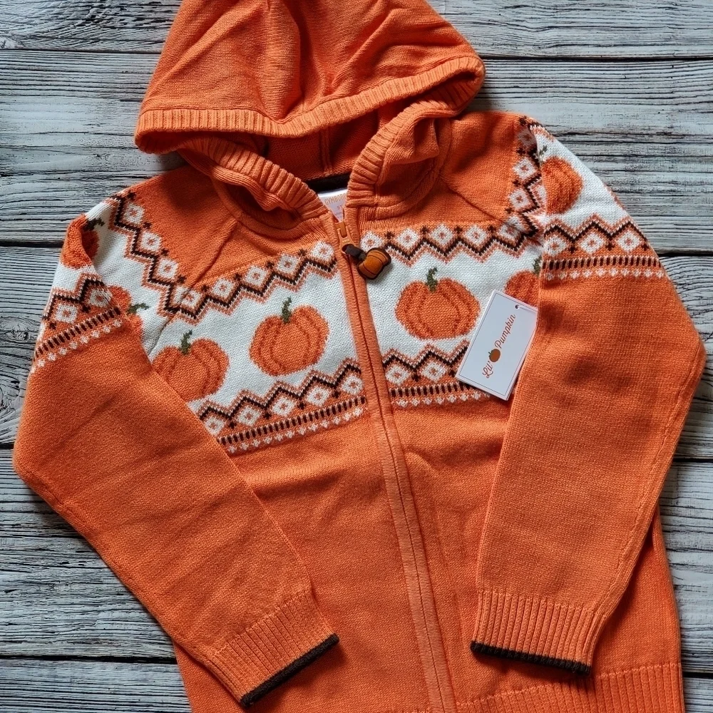 Gymboree Orange Pumpkin Sweater Lil's Pumpkin Collection Hooded Zip Up Sweater